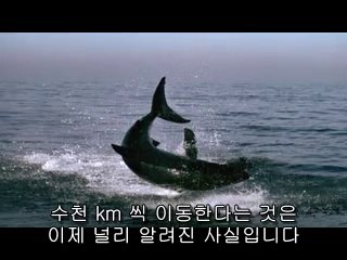 [상봉오피 캣]아찔한밤 상봉오피정보