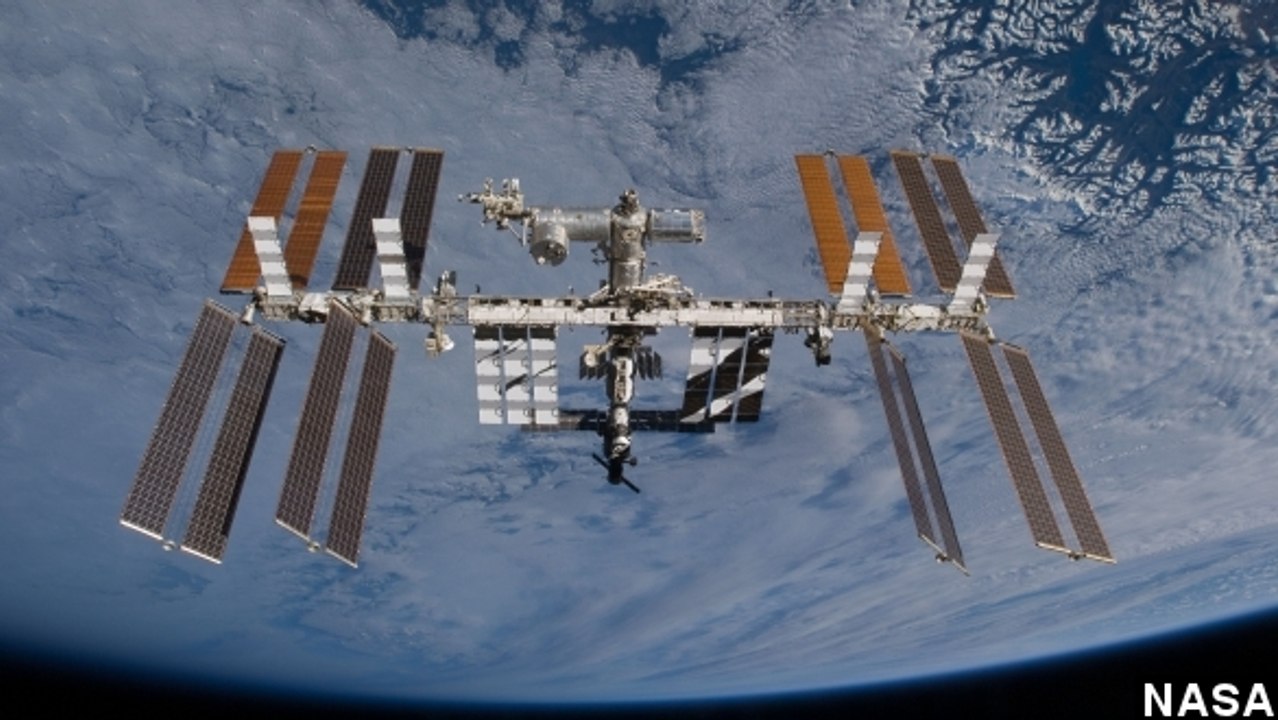 Did Russia Really Find Plankton On The ISS? NASA Not So Sure