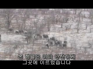 [가산오피 파라곤]아찔한밤 가산오피정보