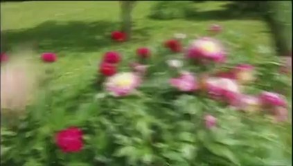 "Je lui dis tout à Hollande, mais il n'écoute pas...", confie Arnaud Montebourg