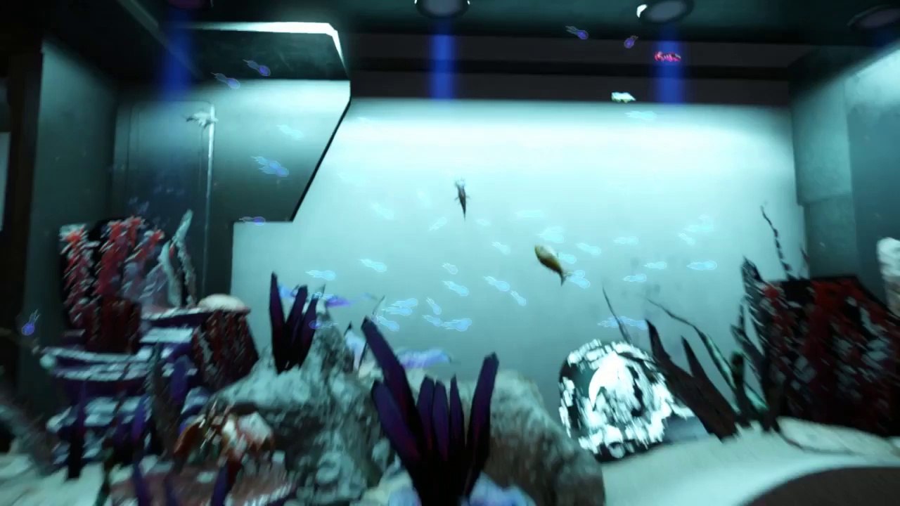 Visite de mon hangar