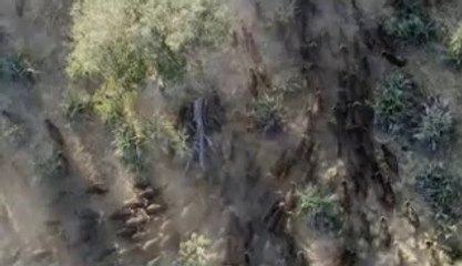 [동탄오피 프라다]아찔한밤 동탄오피정보