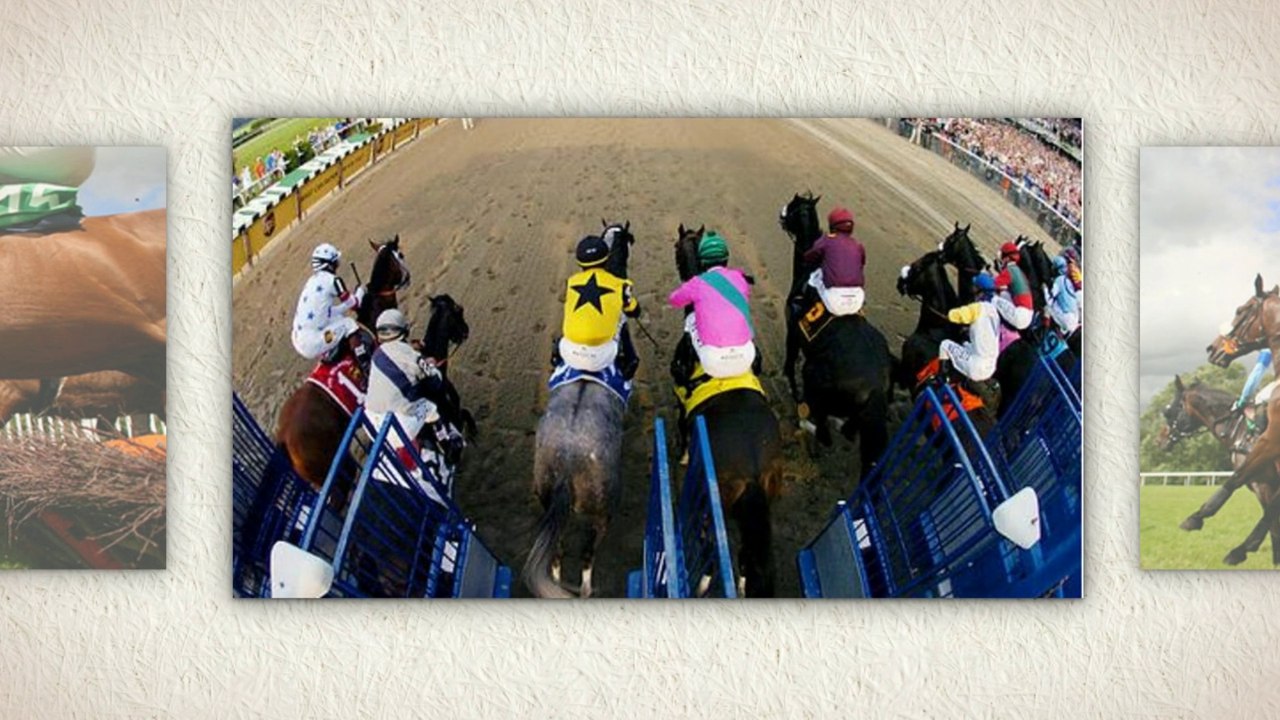Horse Betting