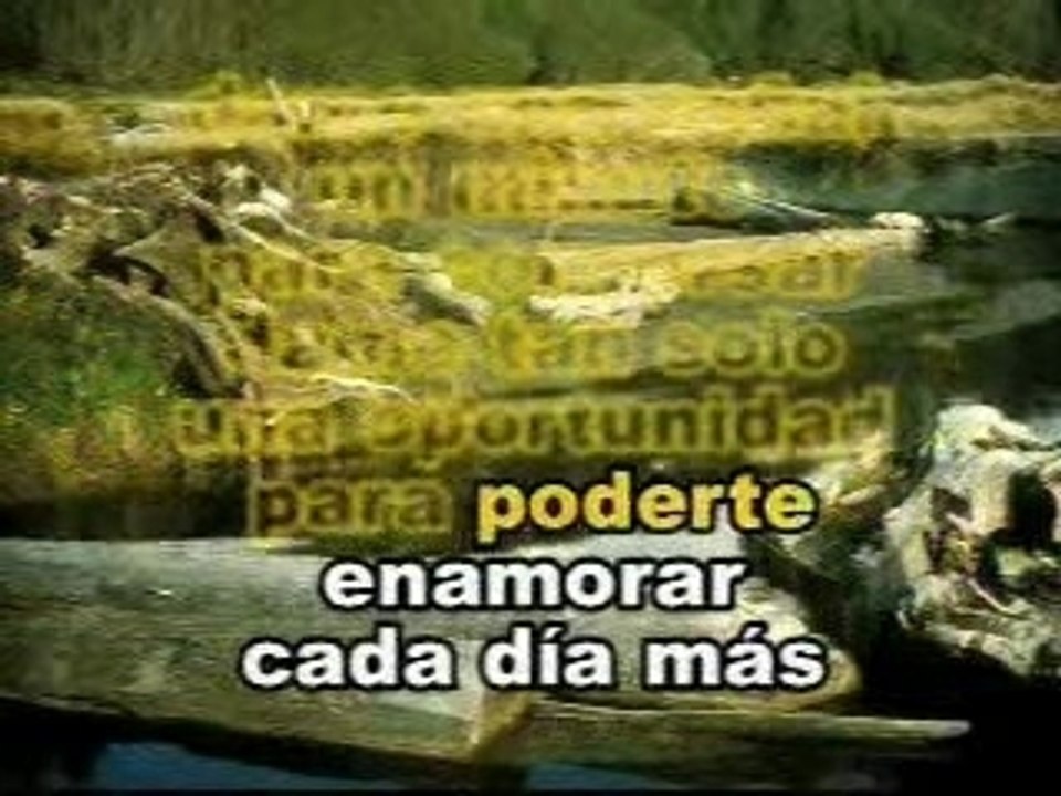 karaoke un poco de tu amor