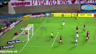 Portuguesa 2 x 1 Vila Nova - gols  Brasileiro série B   (26-08-2014)