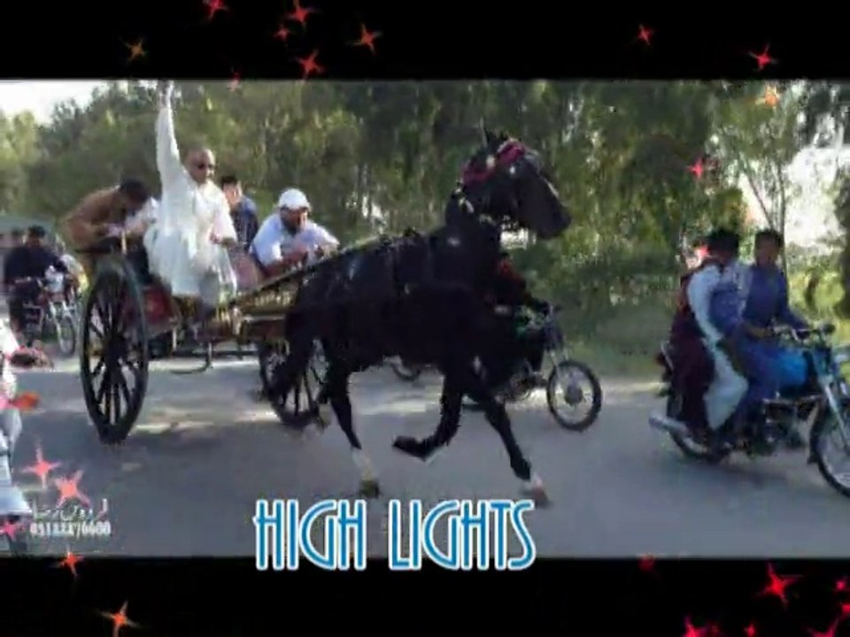 (trailer) horses 2014 all in 1(2 dvd pack) available at solution movies