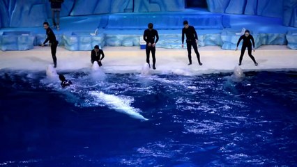 AFP - Le JT, 2e édition du mercredi 27 août