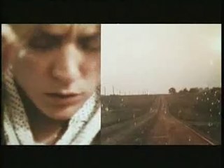 Brown Bunny de Vincent Gallo (2004)