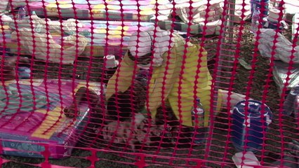 Ebola: MSF se prépare à une nouvelle aggravation au Liberia