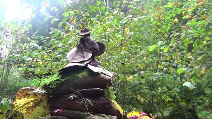 extrait art brut en Suisse