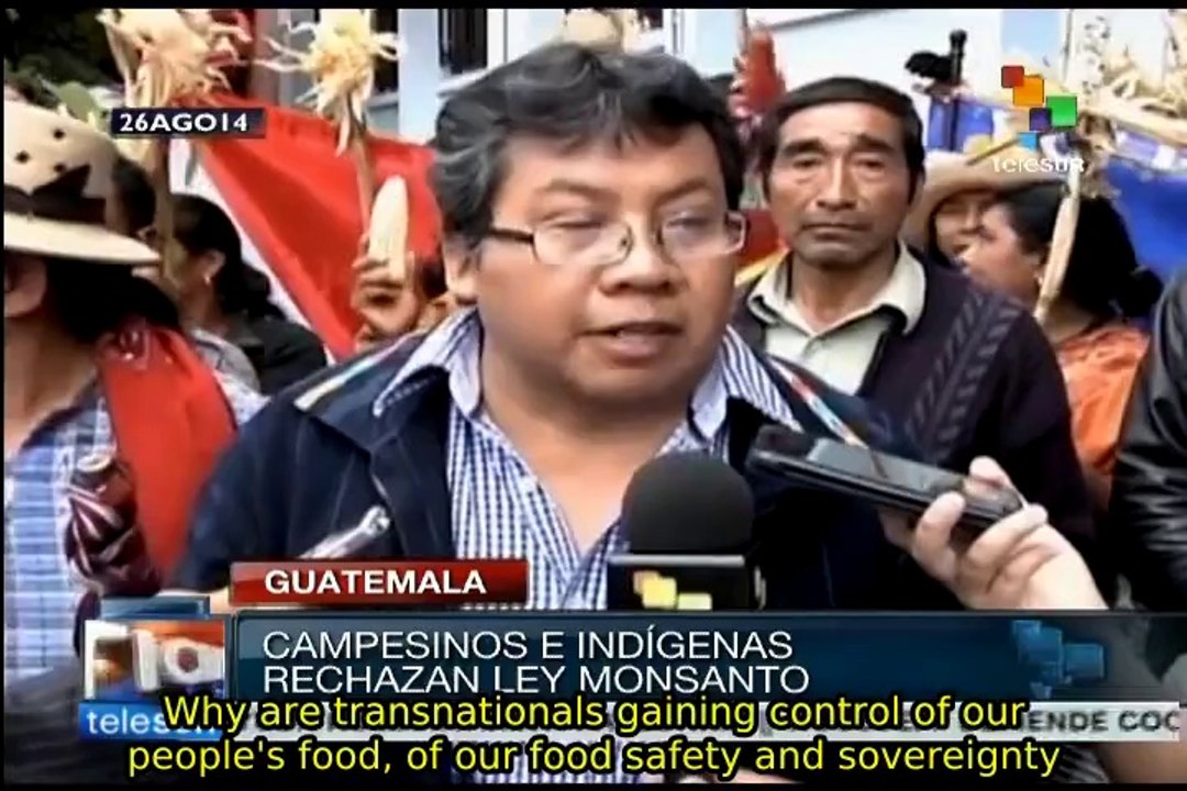 Guatemala: Peasants and indigenous people reject "Monsanto Law"