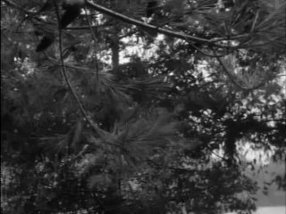 Combat! S02E09 - The Little Jewel