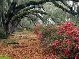 İlkMekan.Com - Asya Sabancı Sevdalım Sesli Sohbet Sesli Chat Sesli Siteler