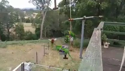 Awesome Feeding Station