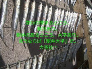 吉武大助(マナー講師)の仕事前に読む一日一言【大宅壮一】