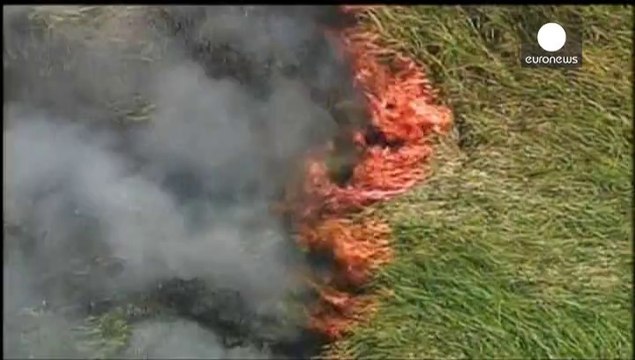 California fire crews stretched to cope with wildfires