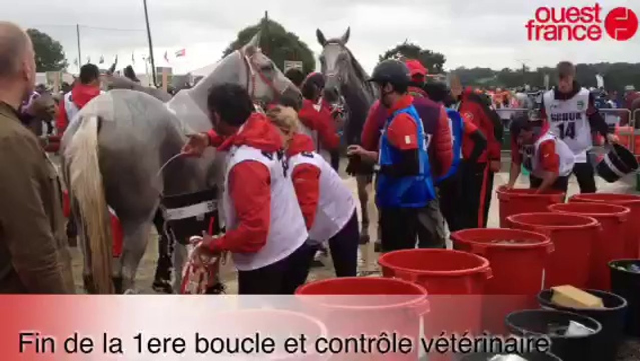 Endurance