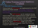 Online Sap Testing Training In Canada,Pune