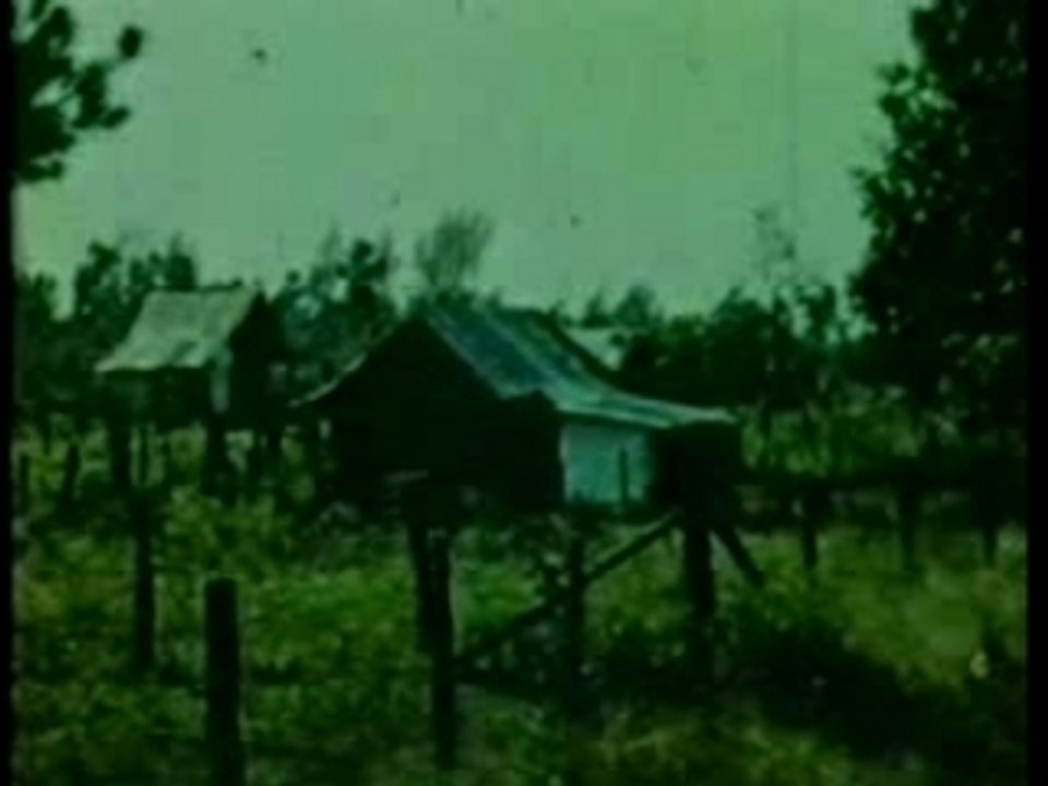 Three Songs by Leadbelly