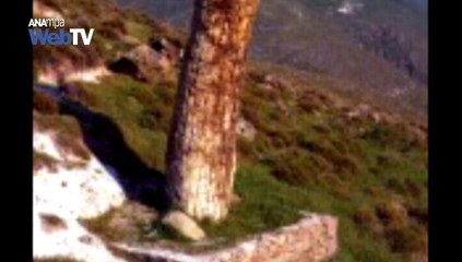 Υποψήφιο για μνημείο παγκόσμιας κληρονομιάς το απολιθωμένο δάσος Λέσβου