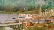 Teri Umeed Tera Intezaar Karte Hain [ Deewana 1992 ] Rishi Kapoor _ Divya Bharti _ Shahrukh Khan -