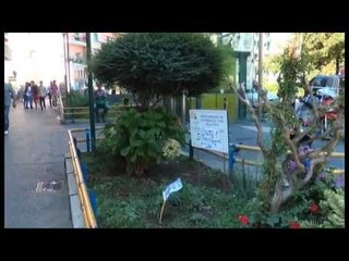 Napoli - Il ladro di fiori al Vomero (27.08.14)