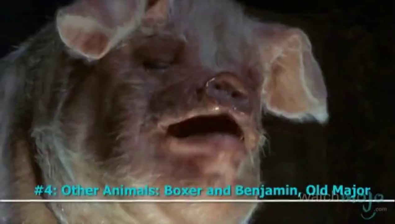 Top 10 Notes_ Animal Farm