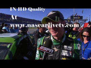 Live Oral-B USA 500 Nascar