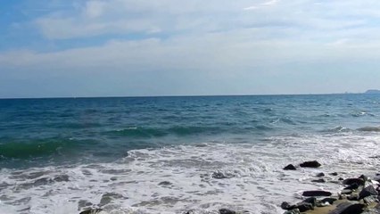 My Mood - Alfonzo Blackwell - Beach Waves - Saxophone HD 1080p