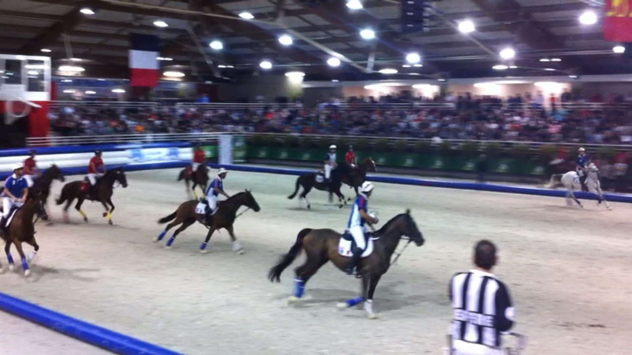 Démonstrations de horse-ball