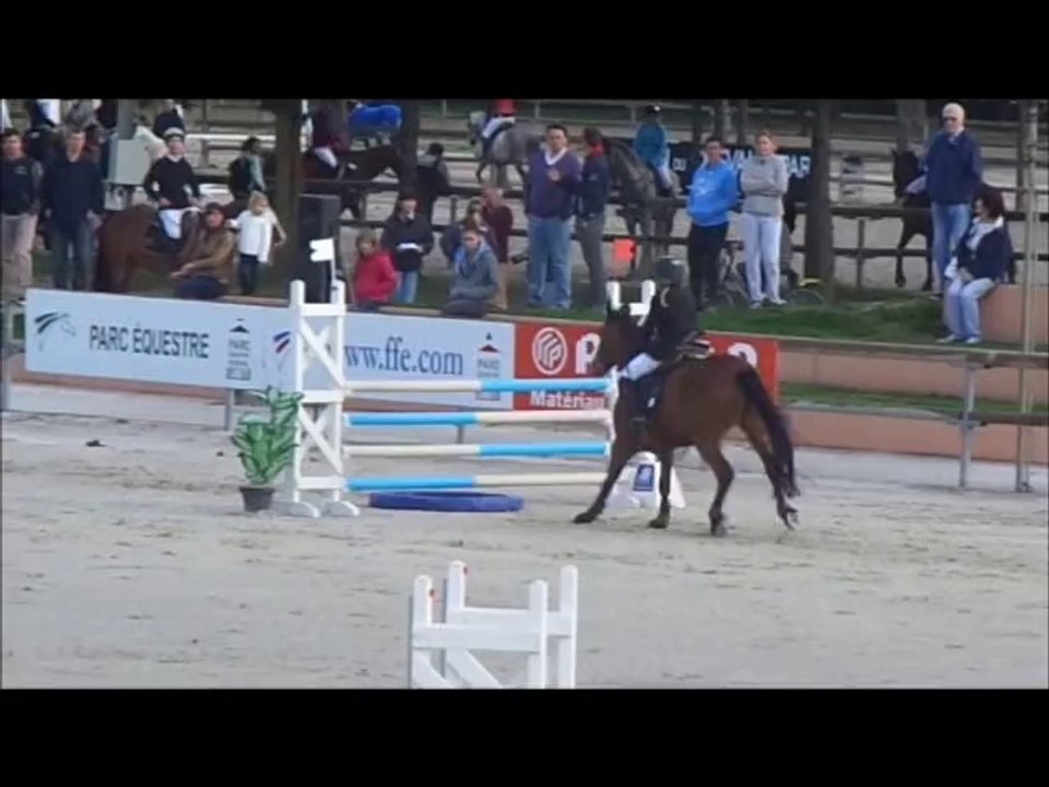 leanez ar crano, Poney élite D, sologn'pony 2014 (21)