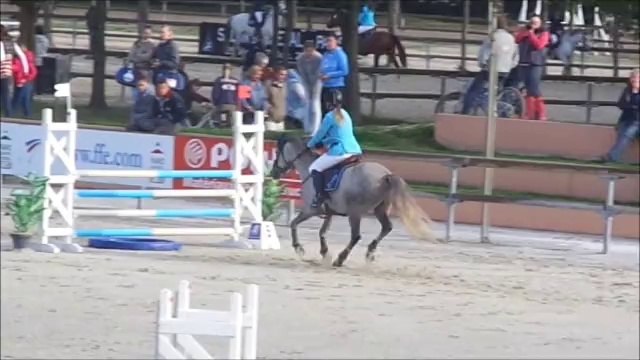 ultimate du bois, Poney élite D, sologn'pony 2014 (21)