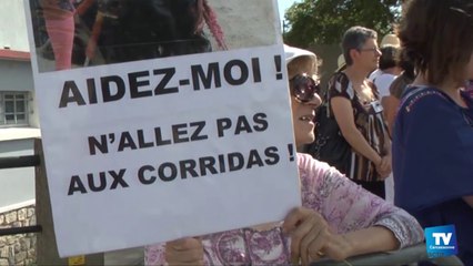 Feria de Carcassonne : les anticorridas sous haute surveillance