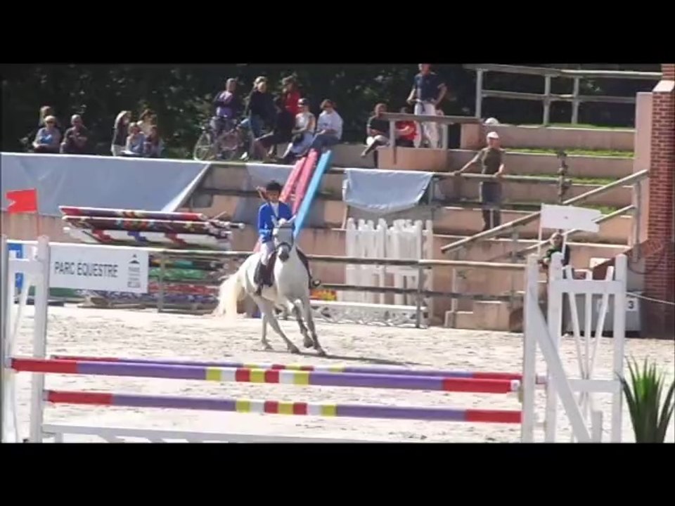 viking melody, 5ans D sologn'pony 2014 (22)