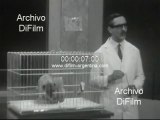 DiFilm - Finaliza el ciclo de Telescuela Primaria 1967