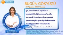 AKREP Burcu, GÜNLÜK Astroloji Yorumu,29 AĞUSTOS 2014, Astrolog DEMET BALTACI Bilinç Okulu