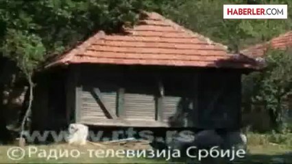 Sırbistan Sınırında Gerginlik