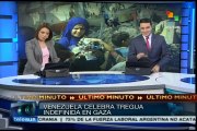 Venezuela pide a Israel que finalice el bloqueo a Palestina