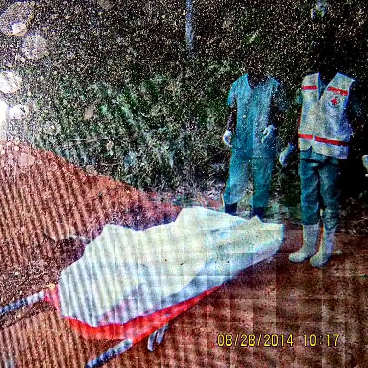 EBOLA VIRUS FOLK HERBAL REMEDIES AND HUMAN ZOMBIES