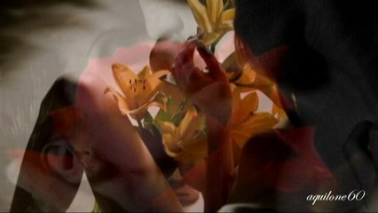 Celin Dion - Because You Loved Me