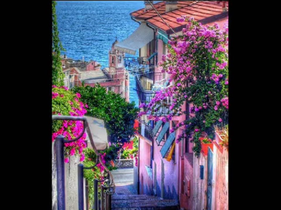 BLUENOSTALGIE TITRE AMORADA