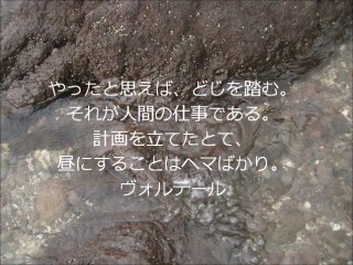北野弘毅（生活支援アドバイザー）の偉人の名言集～ヴォルテール～