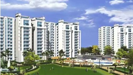 Saya Gold Avenue| 0120 3803029