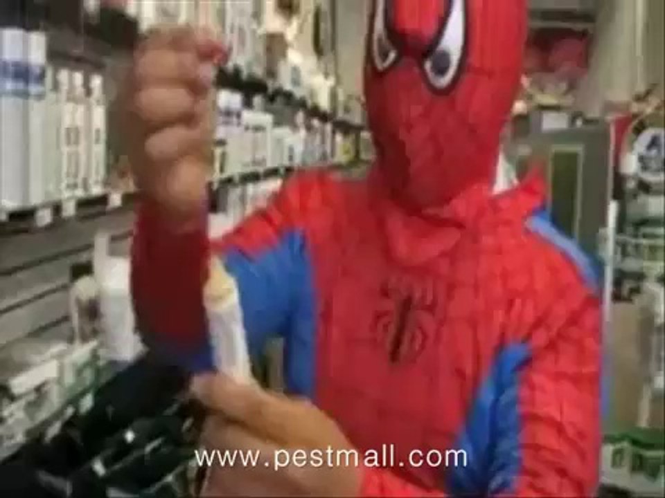 Looking for the Roach Bait to Kill Roaches