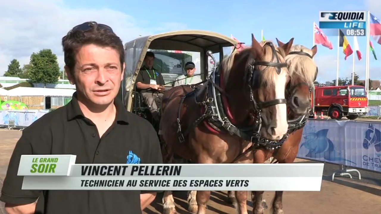 Dans les coulisses des jeux, les chevaux de trait sont à l'oeuvre