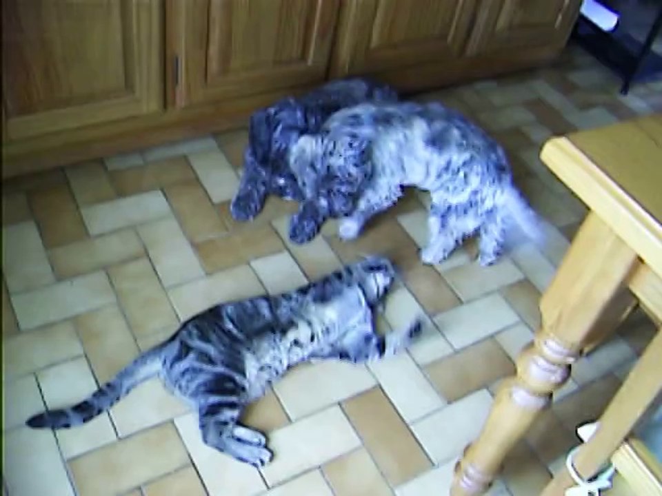 Babylone est rentré après son petit tour