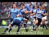 Watch Blue Bulls vs Western Province live rugby
