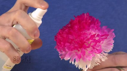 Magic Color Changing Flower - Sick Science! #177