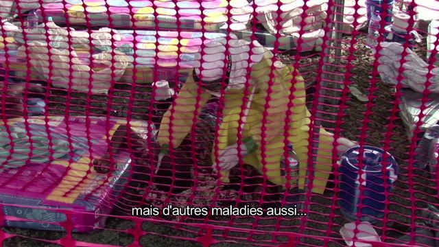 Ebola se propage a Monrovia, au Liberia