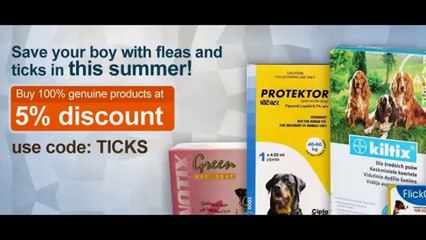 Buy Online Drools Dog Food India @ moooou.com